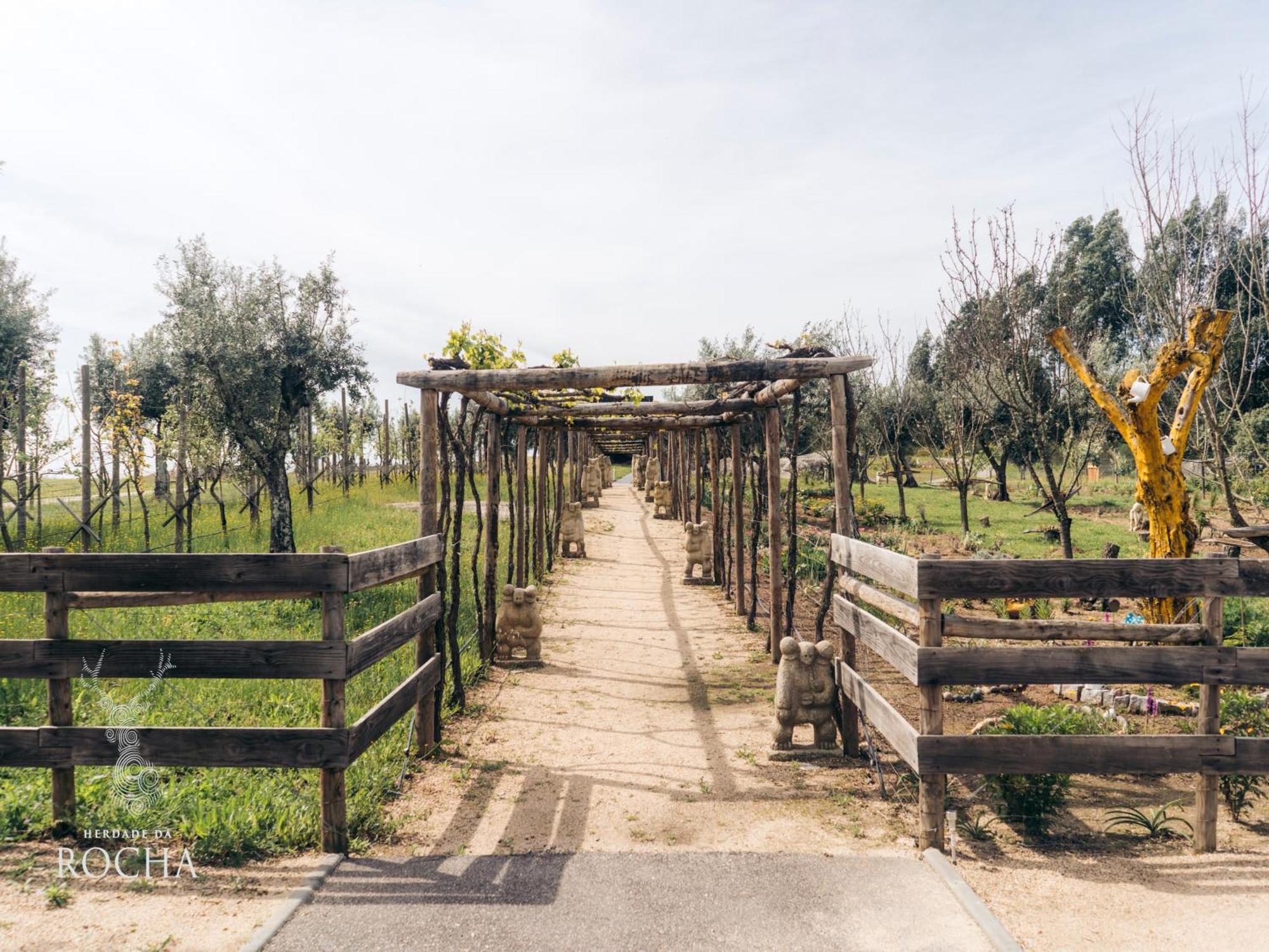 Herdade Da Rocha - Boutique Lodge Крато Екстериор снимка