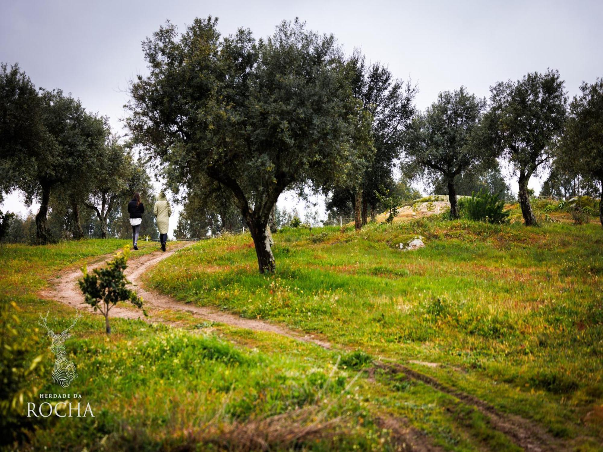 Herdade Da Rocha - Boutique Lodge Крато Екстериор снимка