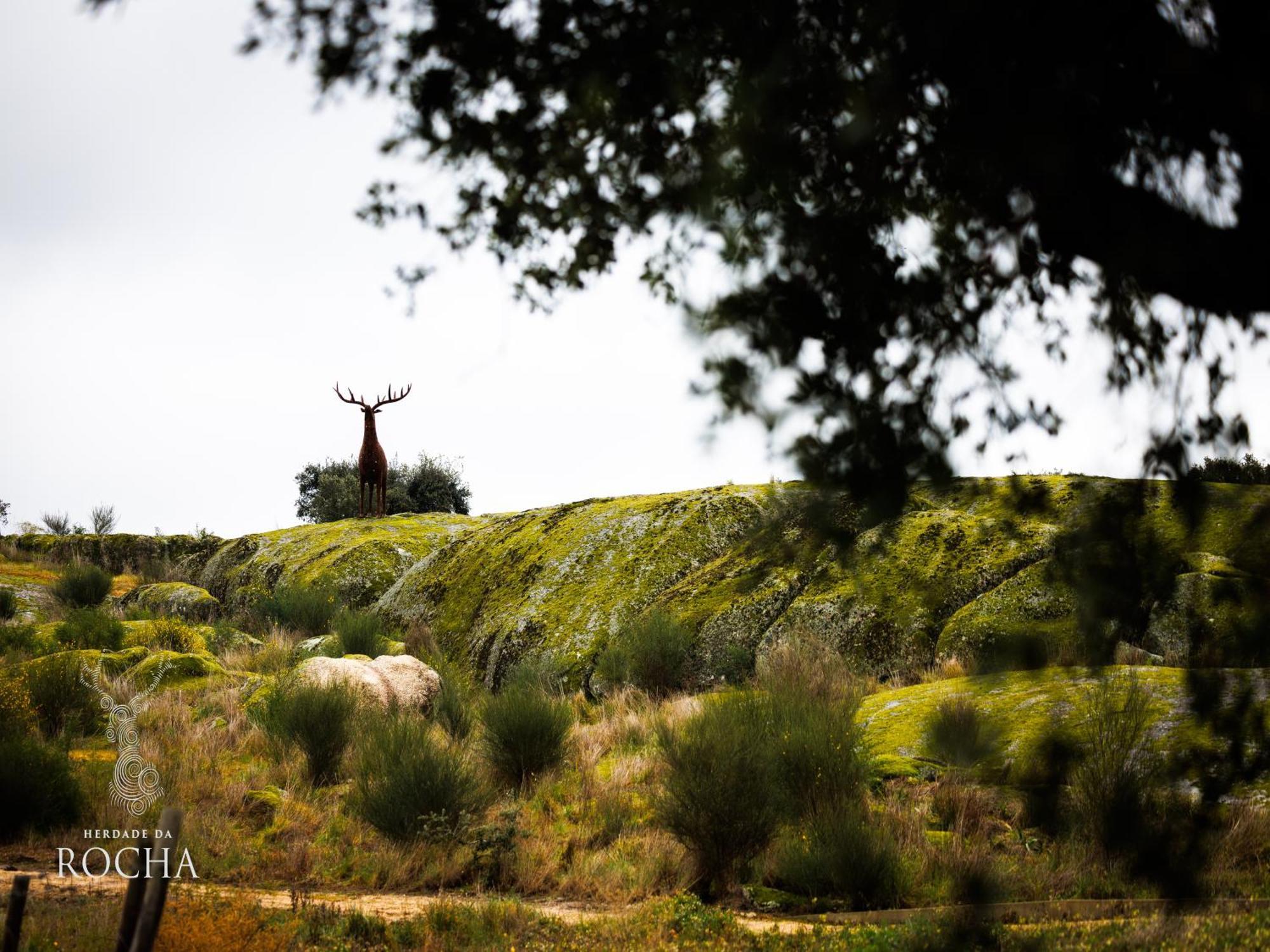 Herdade Da Rocha - Boutique Lodge Крато Екстериор снимка